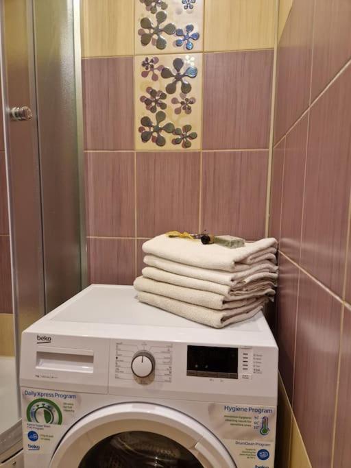 Ilguciema Apartment ريغا المظهر الخارجي الصورة